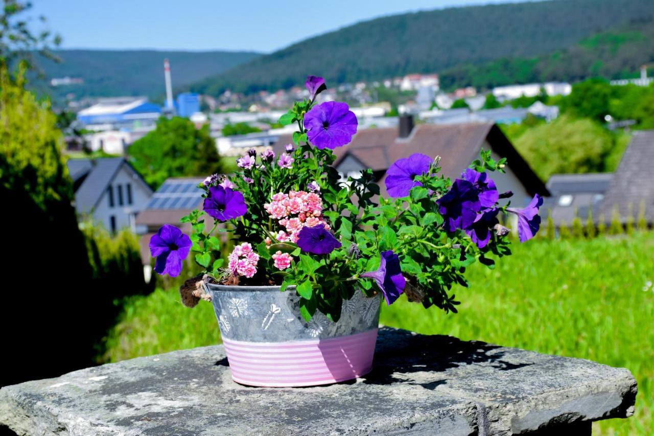Hotel Bergwiesen - Zimmer Mit Balkon Oder Terasse Lohr Eksteriør billede